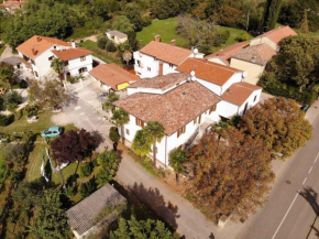Apartment in Porec/Istrien 38522